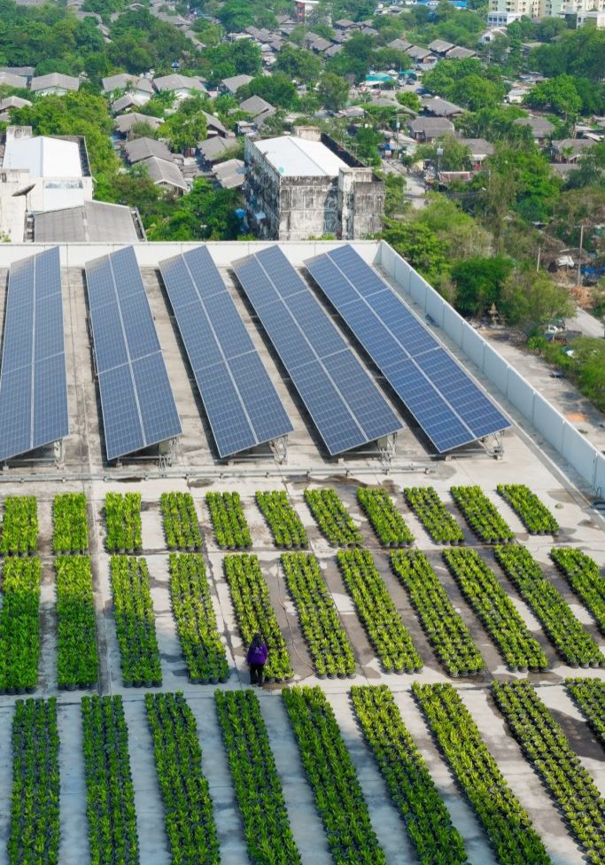 Solar and green rooftop combination